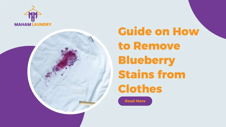 Guide on How to Remove Blueberry Stains from Clothes